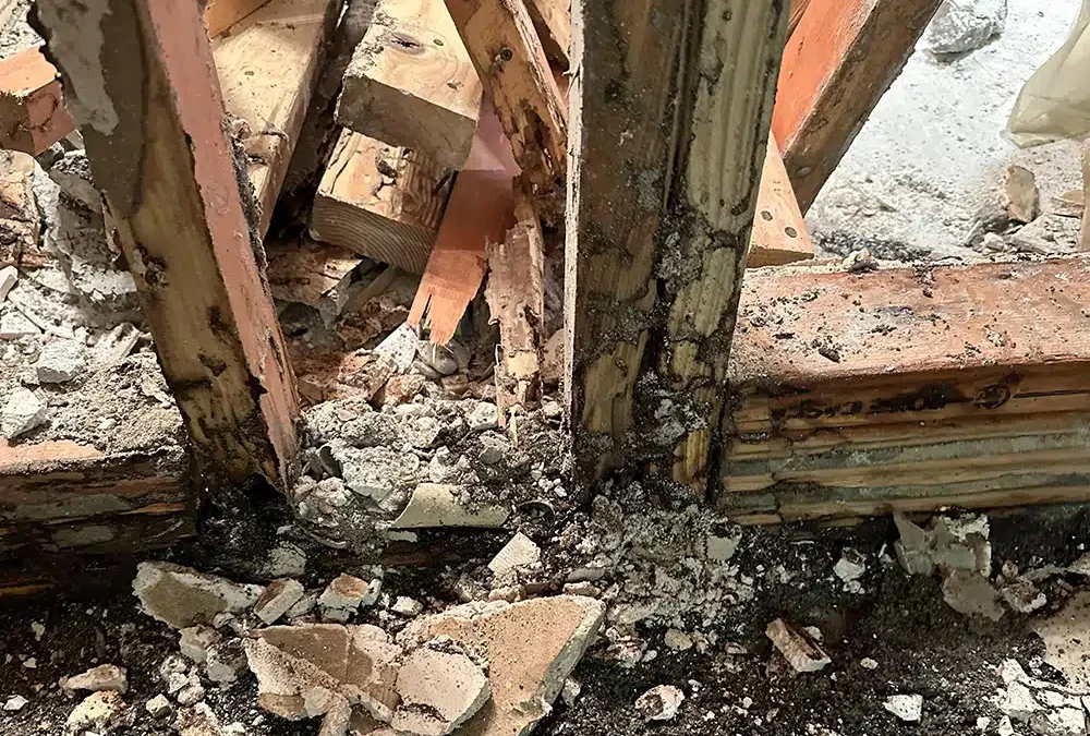 Asbestos and lead in Lehi homes: what to know before you remodel