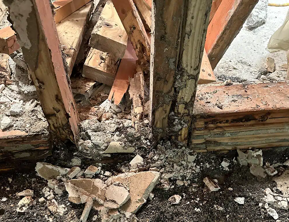 Mold detection destroying wood in Lehi, UT