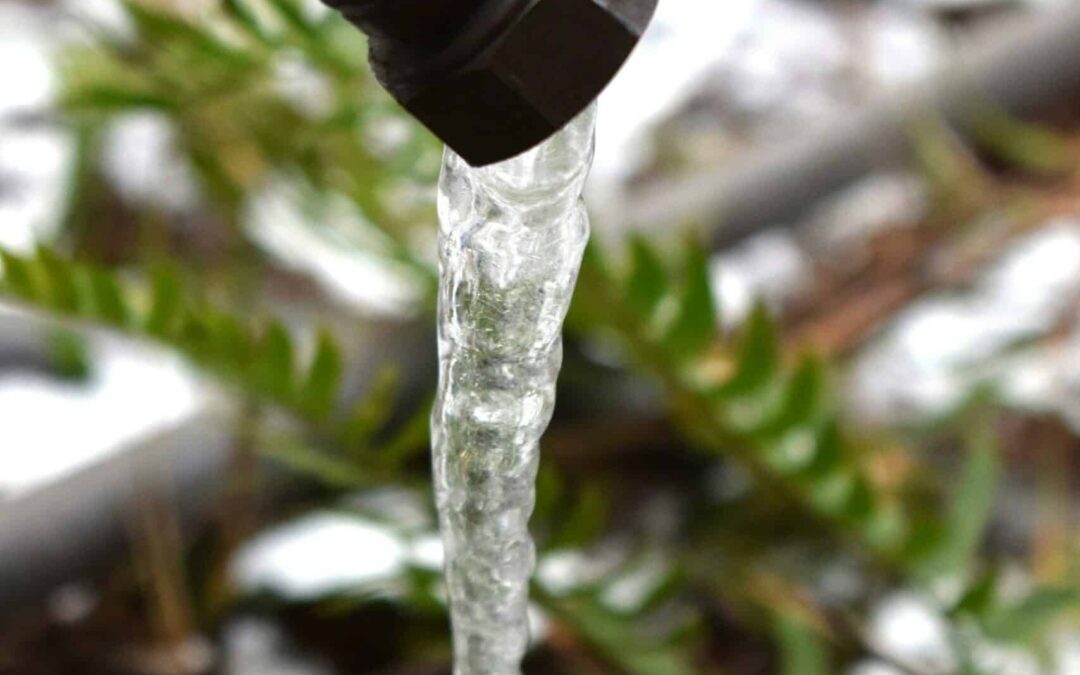 You Left Your Hose Hooked Up All Winter – Now What?