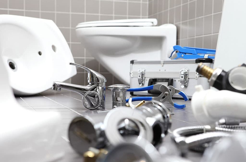 Toilet Troubles? Common Issues and Why Professional Repairs Are the Best Solution