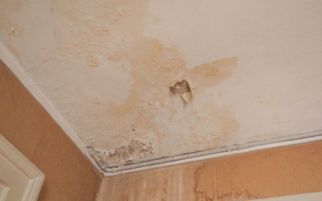 water damage in Lehi, UT home