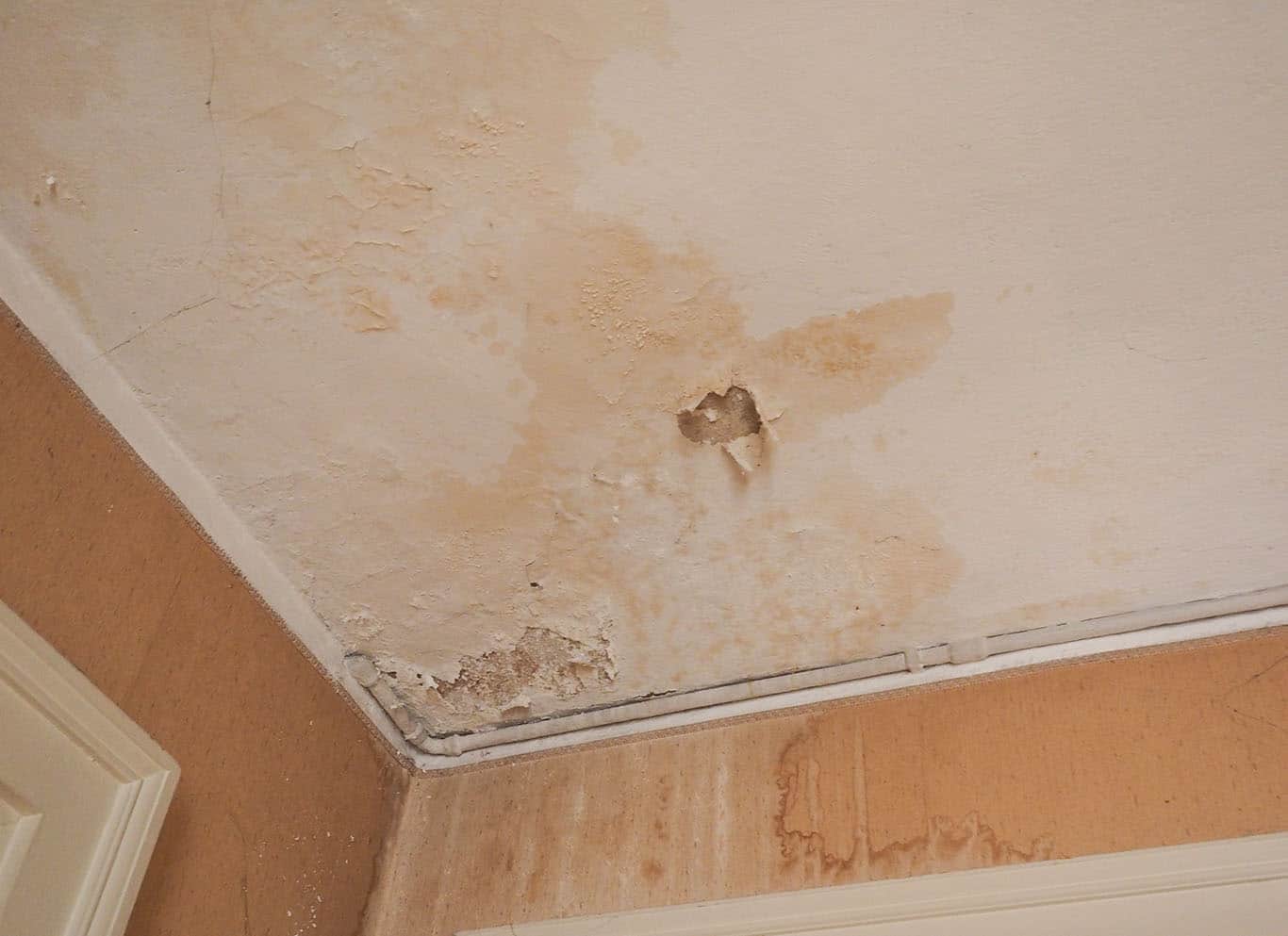 water damage in Lehi, UT home