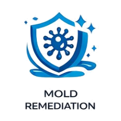 Mold remediation in Utah
